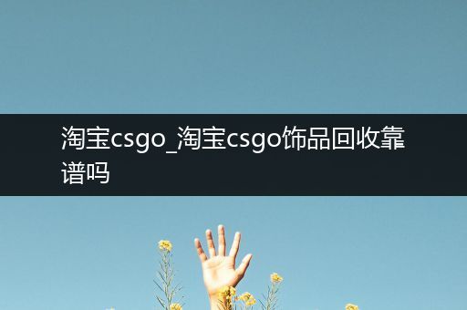 淘宝csgo_淘宝csgo饰品回收靠谱吗