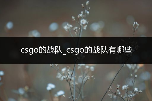 csgo的战队_csgo的战队有哪些