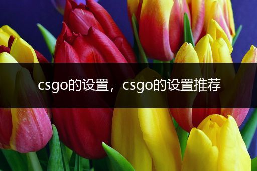 csgo的设置，csgo的设置推荐