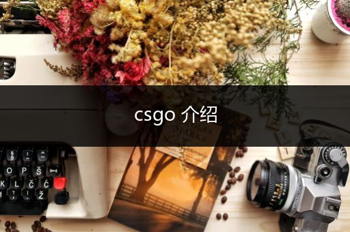 csgo 介绍