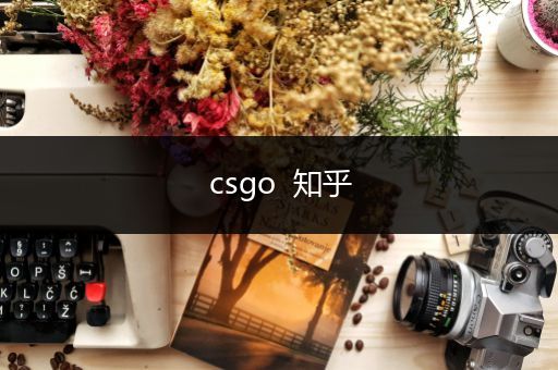 csgo  知乎