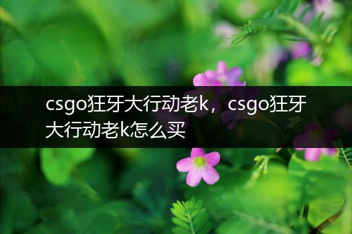 csgo狂牙大行动老k，csgo狂牙大行动老k怎么买