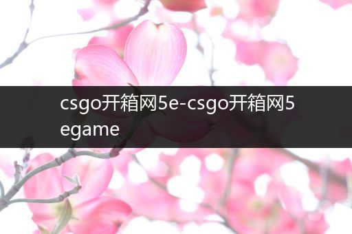 csgo开箱网5e-csgo开箱网5egame