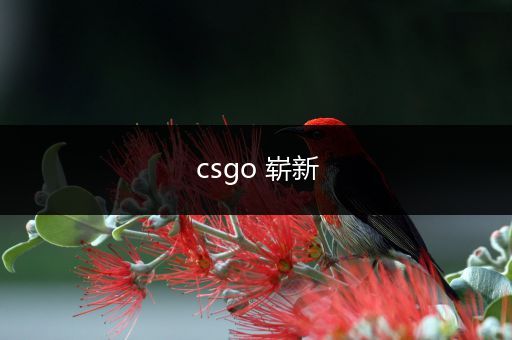 csgo 崭新