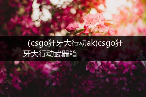 （csgo狂牙大行动ak)csgo狂牙大行动武器箱