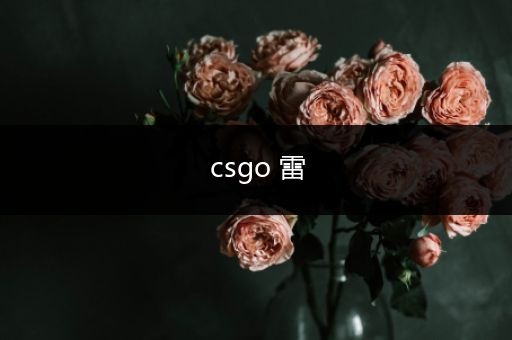 csgo 雷