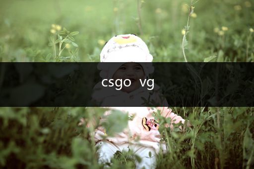 csgo  vg