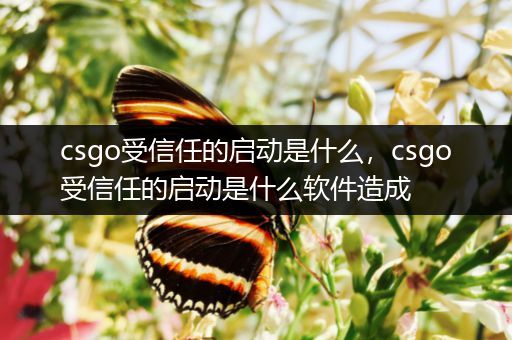 csgo受信任的启动是什么，csgo受信任的启动是什么软件造成