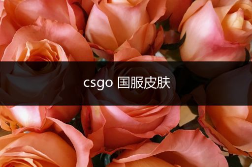 csgo 国服皮肤