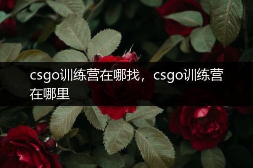 csgo训练营在哪找，csgo训练营在哪里