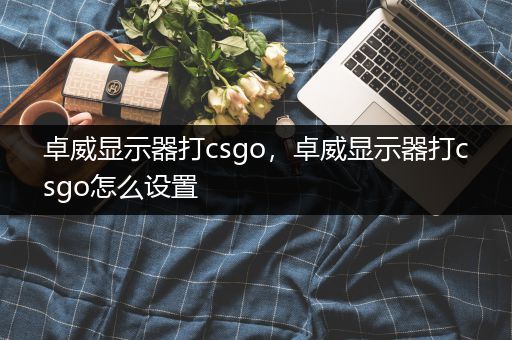 卓威显示器打csgo，卓威显示器打csgo怎么设置