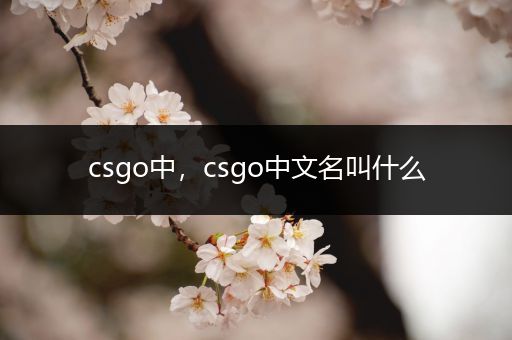 csgo中，csgo中文名叫什么