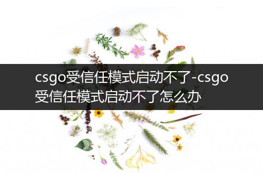 csgo受信任模式启动不了-csgo受信任模式启动不了怎么办