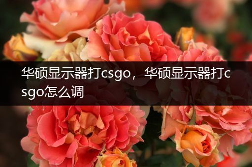 华硕显示器打csgo，华硕显示器打csgo怎么调