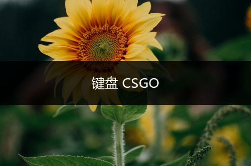 键盘 CSGO