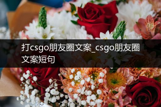 打csgo朋友圈文案_csgo朋友圈文案短句