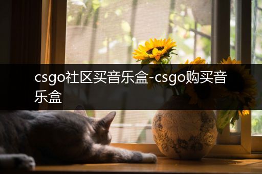 csgo社区买音乐盒-csgo购买音乐盒