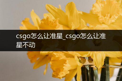 csgo怎么让准星_csgo怎么让准星不动