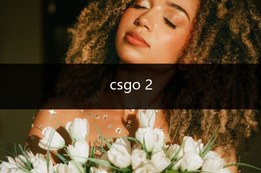 csgo 2