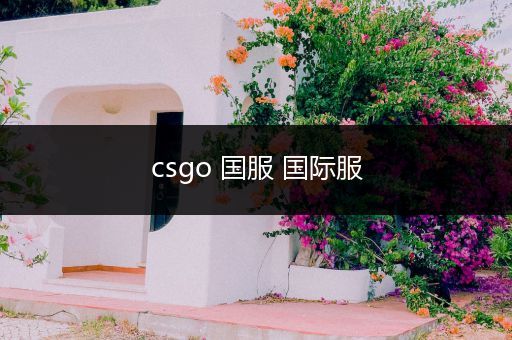 csgo 国服 国际服