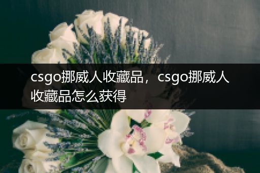 csgo挪威人收藏品，csgo挪威人收藏品怎么获得