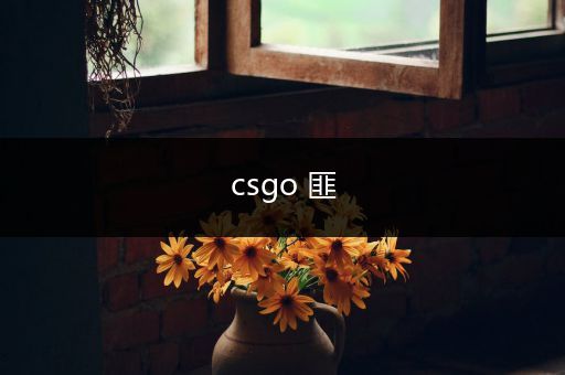 csgo 匪