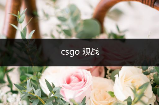 csgo 观战