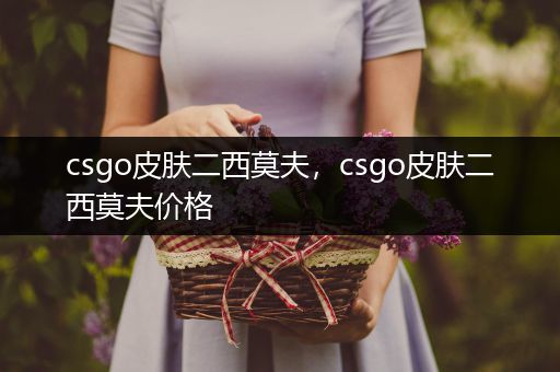 csgo皮肤二西莫夫，csgo皮肤二西莫夫价格