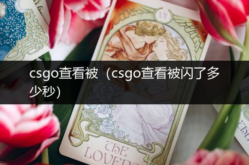 csgo查看被（csgo查看被闪了多少秒）