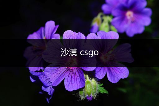 沙漠 csgo