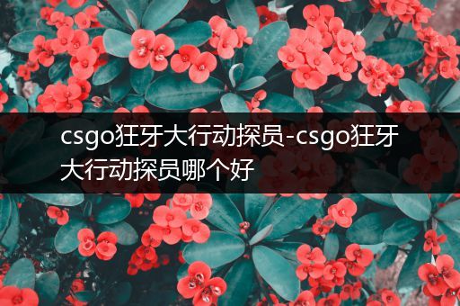 csgo狂牙大行动探员-csgo狂牙大行动探员哪个好