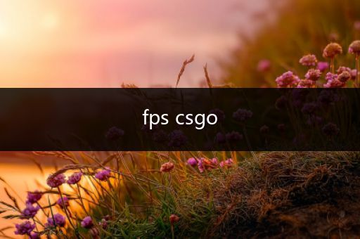 fps csgo