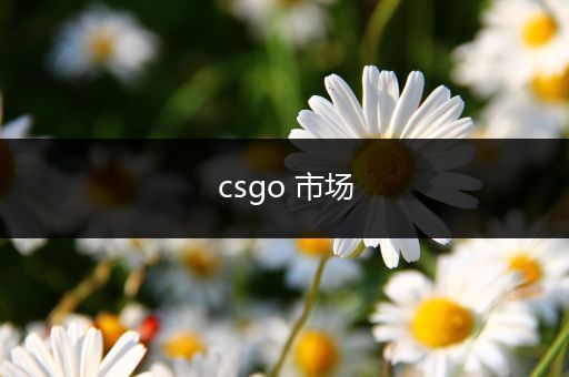 csgo 市场