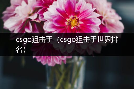 csgo狙击手（csgo狙击手世界排名）