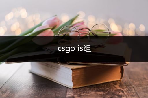 csgo is组