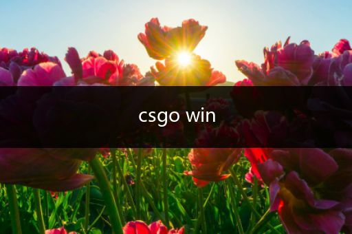 csgo win