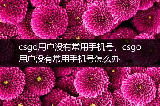 csgo用户没有常用手机号，csgo用户没有常用手机号怎么办