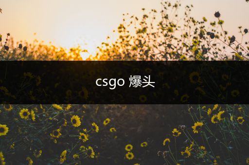 csgo 爆头