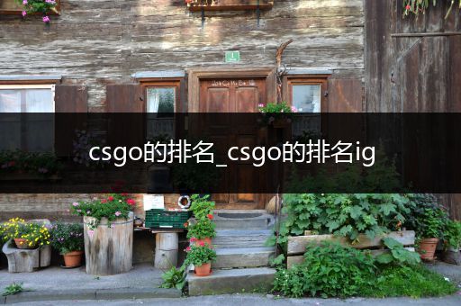 csgo的排名_csgo的排名ig