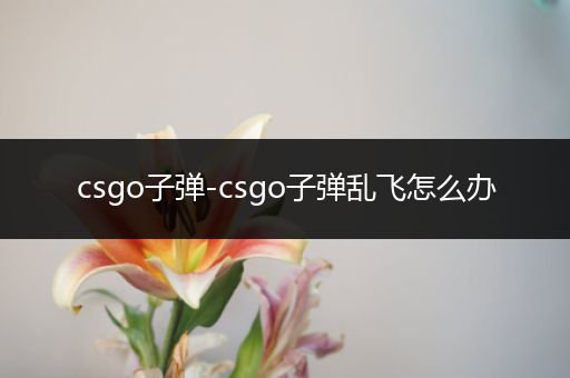 csgo子弹-csgo子弹乱飞怎么办