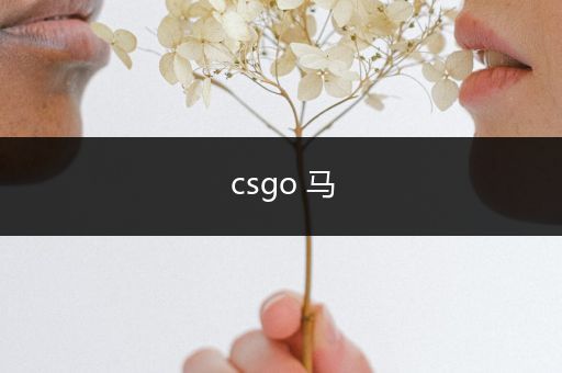 csgo 马