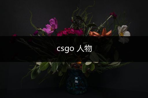 csgo 人物