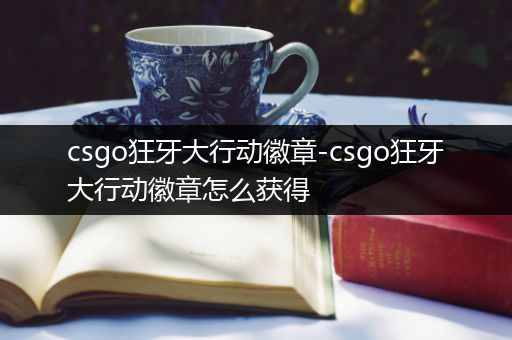 csgo狂牙大行动徽章-csgo狂牙大行动徽章怎么获得