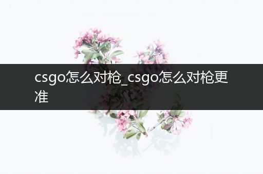 csgo怎么对枪_csgo怎么对枪更准