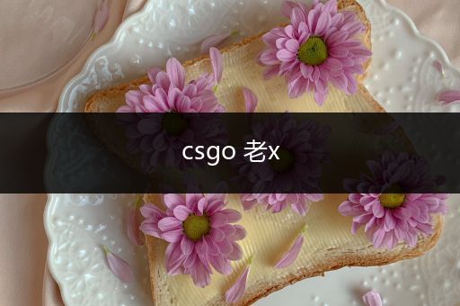 csgo 老x