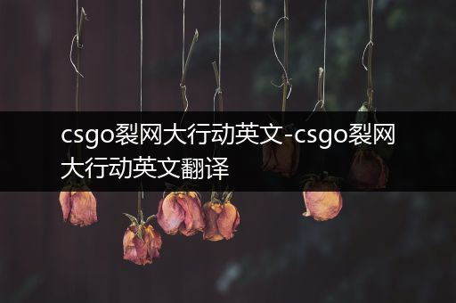 csgo裂网大行动英文-csgo裂网大行动英文翻译