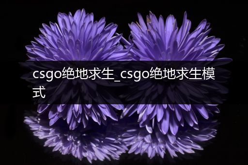 csgo绝地求生_csgo绝地求生模式