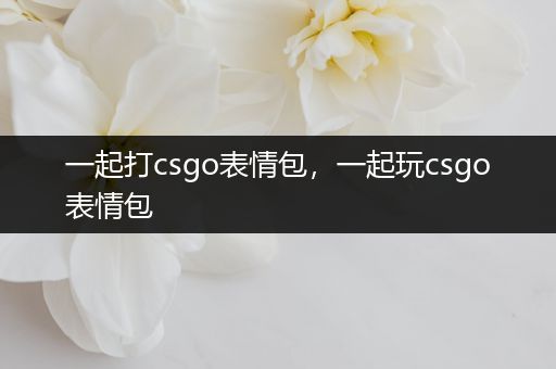 一起打csgo表情包，一起玩csgo表情包