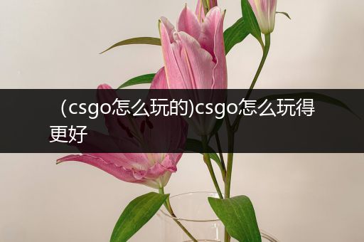 （csgo怎么玩的)csgo怎么玩得更好