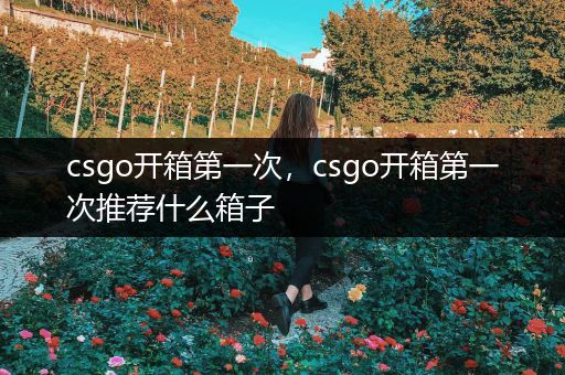 csgo开箱第一次，csgo开箱第一次推荐什么箱子